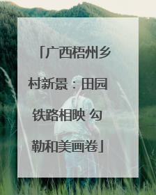 广西梧州乡村新景：田园铁路相映 勾勒和美画卷