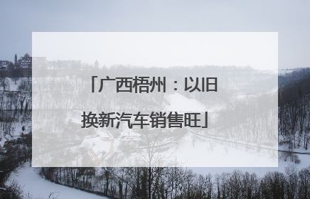 广西梧州：以旧换新汽车销售旺