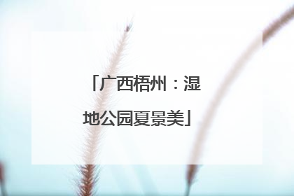 广西梧州：湿地公园夏景美