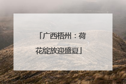 广西梧州：荷花绽放迎盛夏