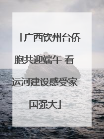 广西钦州台侨胞共迎端午 看运河建设感受家国强大