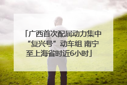 广西首次配属动力集中“复兴号”动车组 南宁至上海省时近6小时