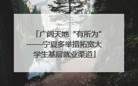 广阔天地“有所为”——宁夏多举措拓宽大学生基层就业渠道