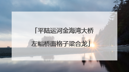 平陆运河金海湾大桥左幅桥面格子梁合龙