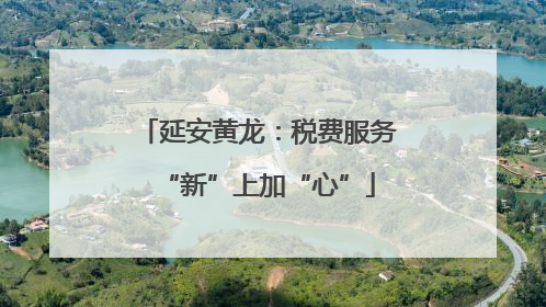 延安黄龙：税费服务“新”上加“心”