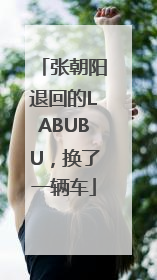 张朝阳退回的LABUBU，换了一辆车