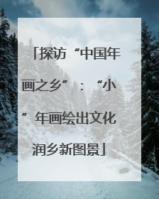 探访“中国年画之乡”：“小”年画绘出文化润乡新图景