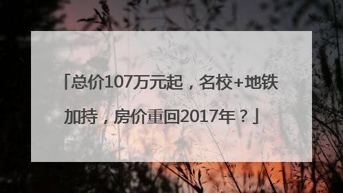 总价107万元起，名校+地铁加持，房价重回2017年？