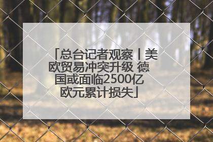 总台记者观察丨美欧贸易冲突升级 德国或面临2500亿欧元累计损失