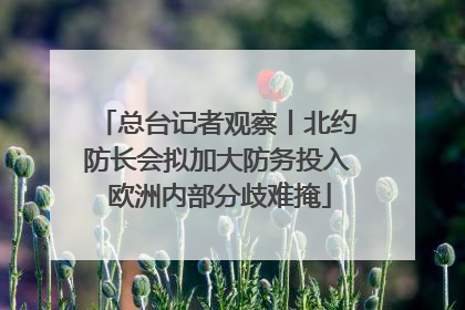 总台记者观察丨北约防长会拟加大防务投入 欧洲内部分歧难掩