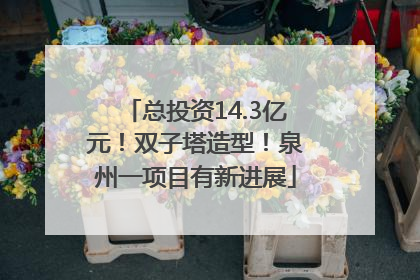 总投资14.3亿元！双子塔造型！泉州一项目有新进展