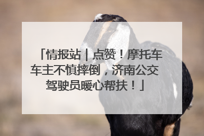 情报站｜点赞！摩托车车主不慎摔倒，济南公交驾驶员暖心帮扶！