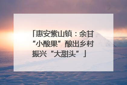 惠安紫山镇：余甘“小酸果”酿出乡村振兴“大甜头”