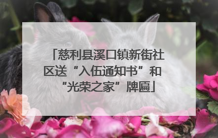 慈利县溪口镇新街社区送“入伍通知书”和“光荣之家”牌匾