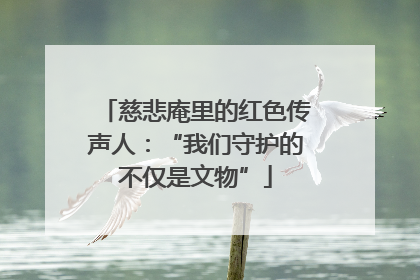 慈悲庵里的红色传声人：“我们守护的不仅是文物”