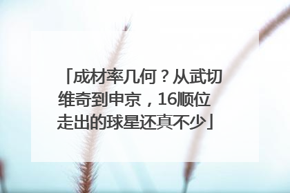 成材率几何？从武切维奇到申京，16顺位走出的球星还真不少