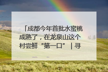 成都今年首批水蜜桃成熟了，在龙泉山这个村尝鲜“第一口”｜寻找和美乡村推荐官