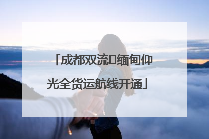成都双流⇌缅甸仰光全货运航线开通
