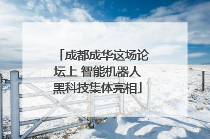 成都成华这场论坛上 智能机器人黑科技集体亮相