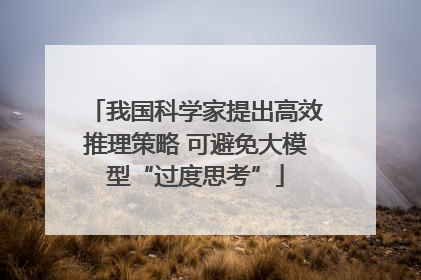 我国科学家提出高效推理策略 可避免大模型“过度思考”