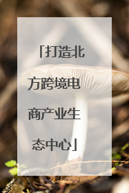 打造北方跨境电商产业生态中心