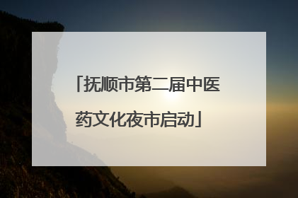 抚顺市第二届中医药文化夜市启动