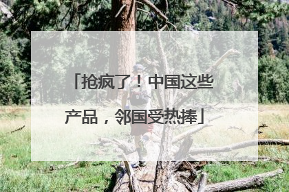 抢疯了！中国这些产品，邻国受热捧