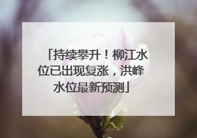 持续攀升！柳江水位已出现复涨，洪峰水位最新预测