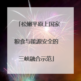 松嫩平原上国家粮食与能源安全的三峡融合示范