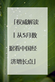 权威解读丨从5月数据看中国经济增长点
