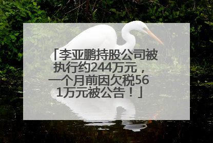 李亚鹏持股公司被执行约244万元，一个月前因欠税561万元被公告！