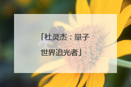 杜灵杰：量子世界追光者