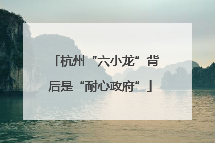 杭州“六小龙”背后是“耐心政府”