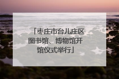 枣庄市台儿庄区图书馆、博物馆开馆仪式举行