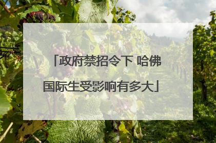 政府禁招令下 哈佛国际生受影响有多大