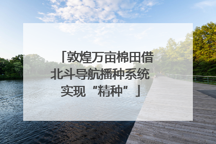 敦煌万亩棉田借北斗导航播种系统实现“精种”