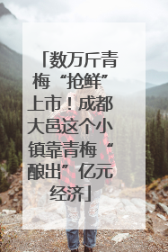 数万斤青梅“抢鲜”上市！成都大邑这个小镇靠青梅“酿出”亿元经济