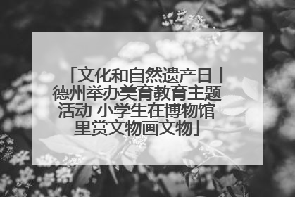 文化和自然遗产日丨德州举办美育教育主题活动 小学生在博物馆里赏文物画文物