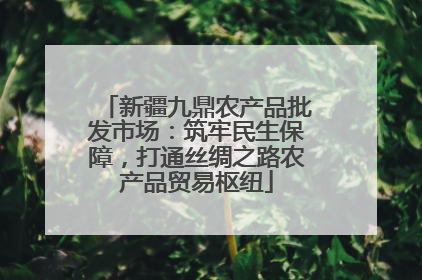 新疆九鼎农产品批发市场：筑牢民生保障，打通丝绸之路农产品贸易枢纽
