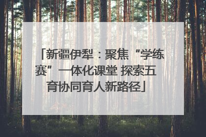 新疆伊犁：聚焦“学练赛”一体化课堂 探索五育协同育人新路径
