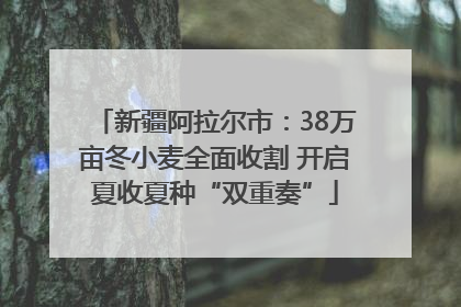 新疆阿拉尔市：38万亩冬小麦全面收割 开启夏收夏种“双重奏”