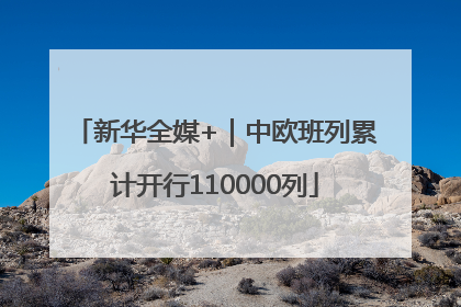 新华全媒+｜中欧班列累计开行110000列