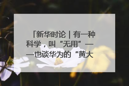 新华时论｜有一种科学，叫“无用”——也谈华为的“黄大年茶思屋”