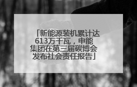 新能源装机累计达613万千瓦，申能集团在第三届碳博会发布社会责任报告
