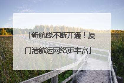 新航线不断开通！厦门港航运网络更丰富