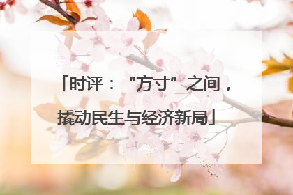 时评：“方寸”之间，撬动民生与经济新局