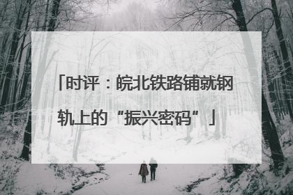时评：皖北铁路铺就钢轨上的“振兴密码”