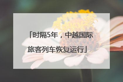 时隔5年，中越国际旅客列车恢复运行