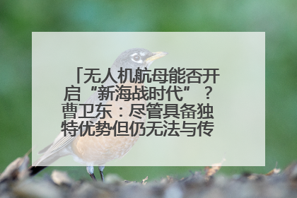 无人机航母能否开启“新海战时代”？曹卫东：尽管具备独特优势但仍无法与传统航母相提并论