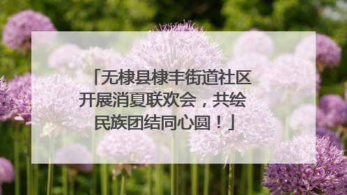 无棣县棣丰街道社区开展消夏联欢会，共绘民族团结同心圆！